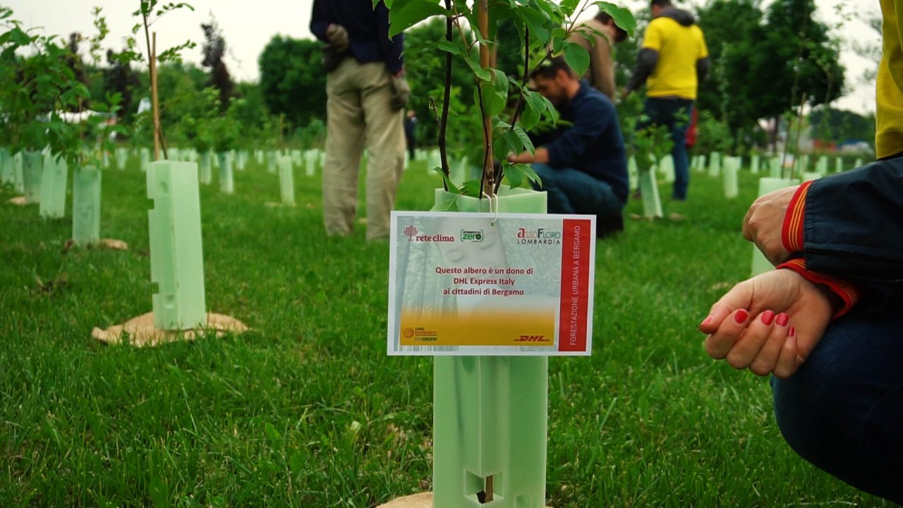 Perché piantare alberi in città? Perchè creare boschi urbani?