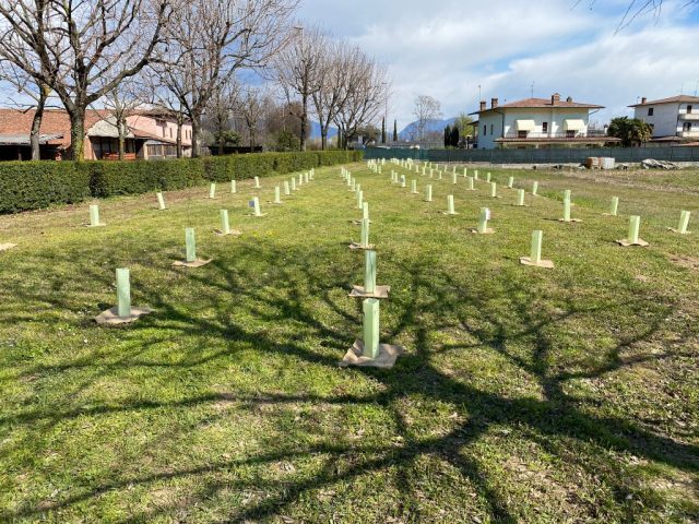 Foresta Bresciana: il primo intervento concreto