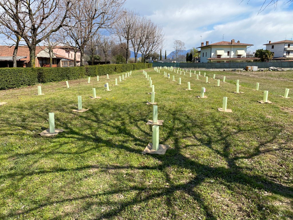 Foresta Bresciana: il primo intervento concreto